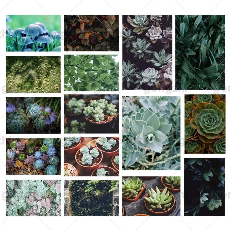 

5D Diy Plant Diamond Painting Full Circle Square Rhinestone Embroidery Succulent Green Plants Cross Stitch Home Decoration Wall