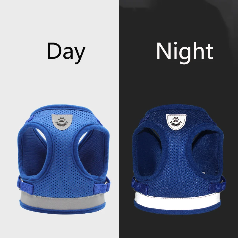 16456703633_609020808