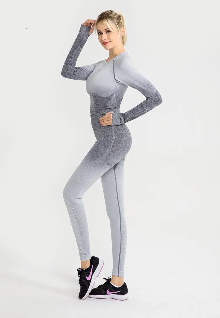 Shark Women Ombre Cropped Seamless Long Sleeve Top Crop Top Women Workout Shirts for Women Sports Tops Women Gym