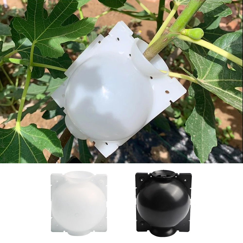 

1pc Plant Rooting Ball Grafting Rooting Growing Box Breeding Case for Garden JS23