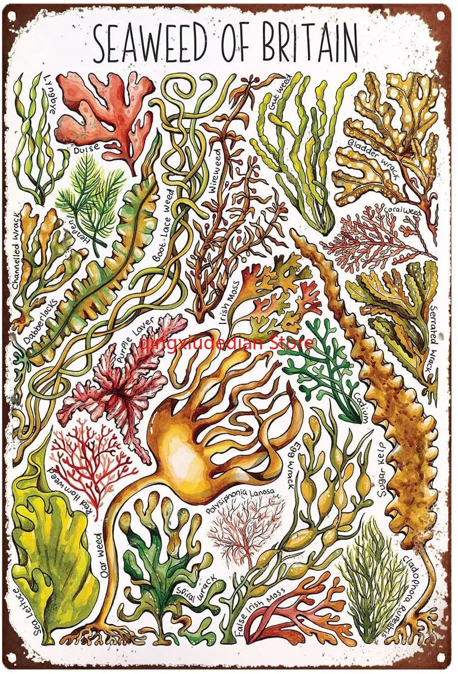 

Металлические знаки на заказ, персонализированные морские водоросли Великобритании, акварельные знаки с принтом дикой природы, персонализированные наружные знаки