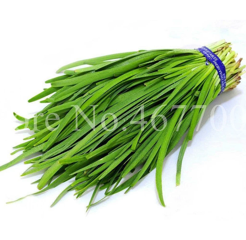 300 шт./пакет китайский лук Everygreen без ГМО вкусный сочный порей огород завод для цветочного горшка кашпо легко растить