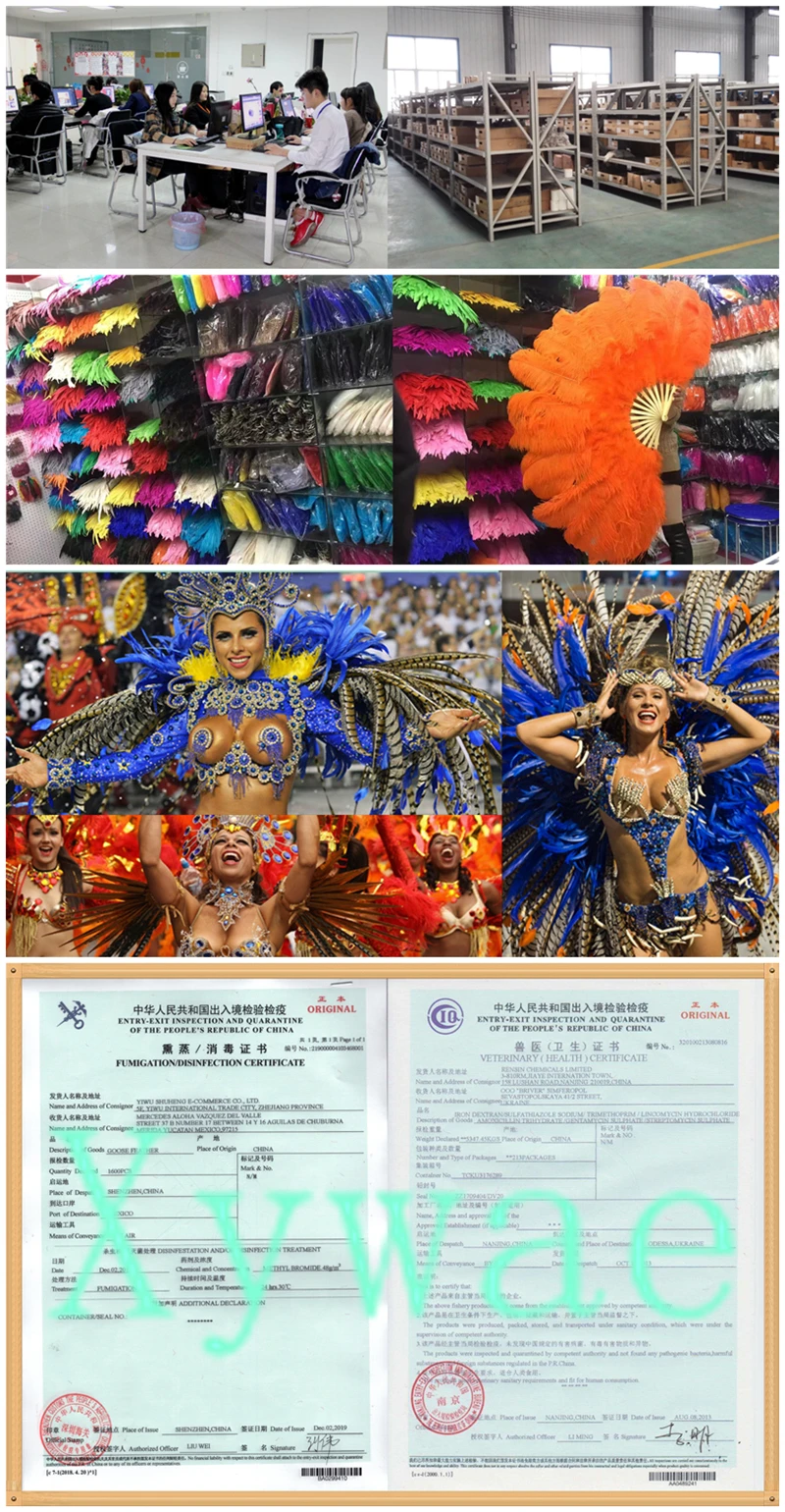 1Meters Pruning Goose Feathers Trims Ribbon Fringe feather trim 6-8