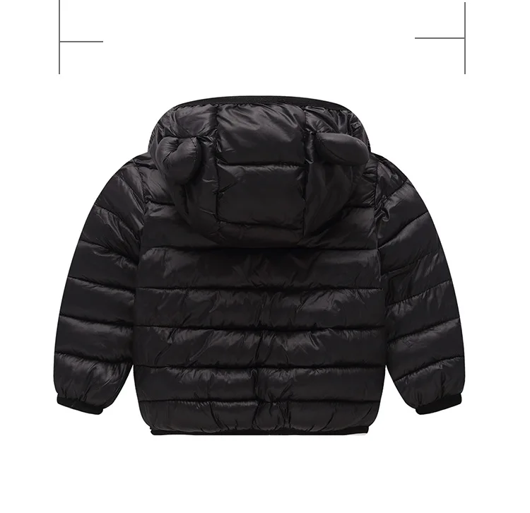 9082910558_517688349