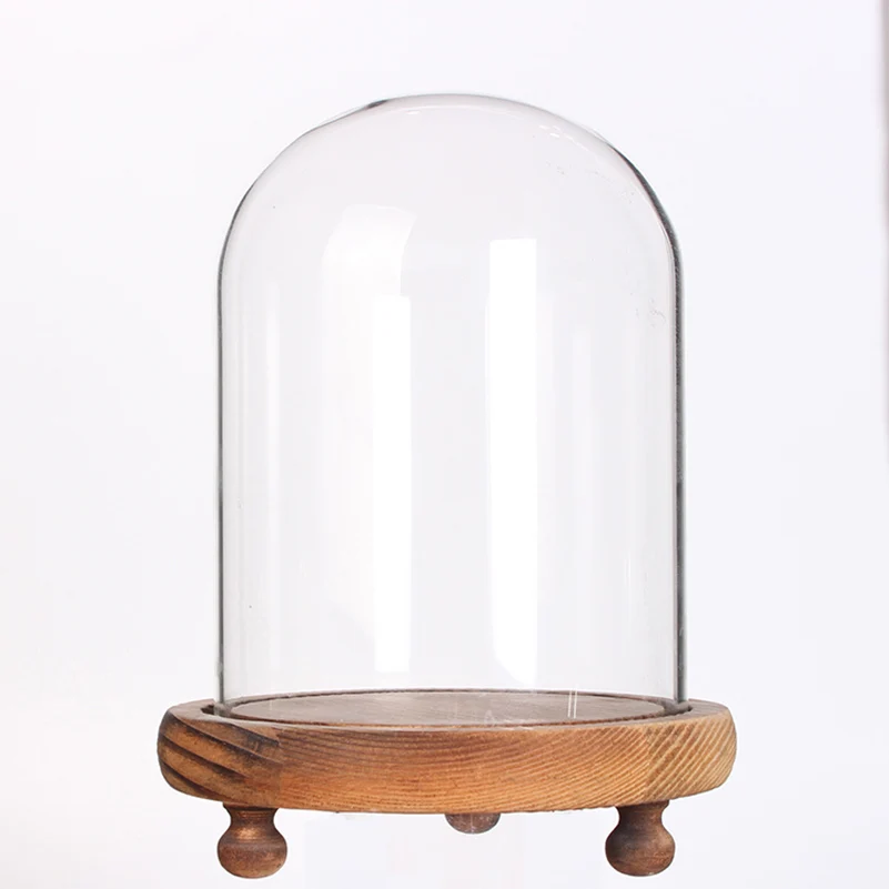 Glass Dome Display Case For Preserved Flowers Bell Jar With Wood Base