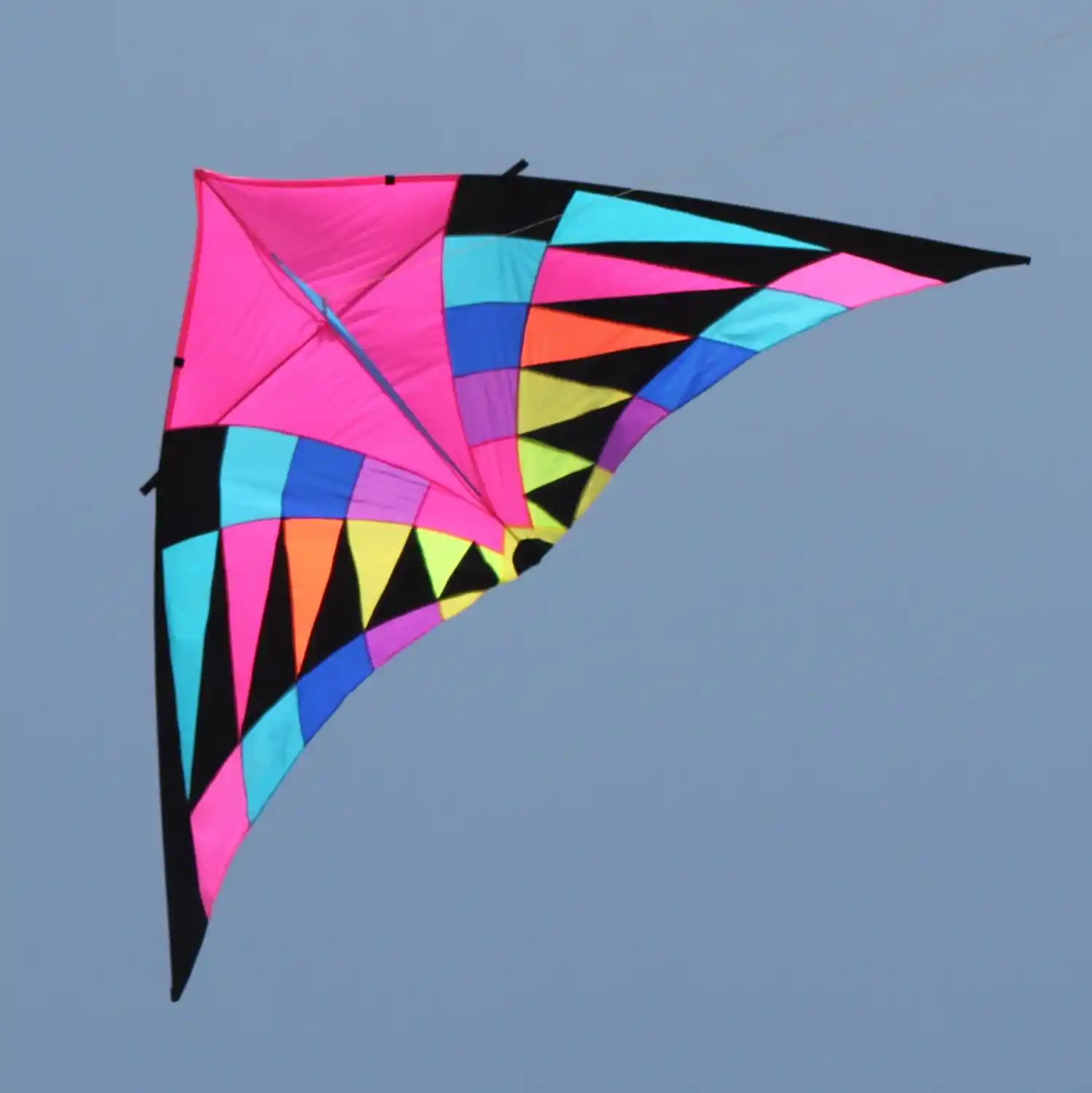 shipping high quality 2pcs/lot flying sky rainbow delta kites