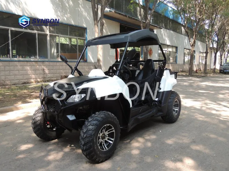 Nuovo 2*4 Wheel Driver 175Cc Road Beach Dune Buggy Cross Car Go Kart Per Adulti Bambino Suv Atv