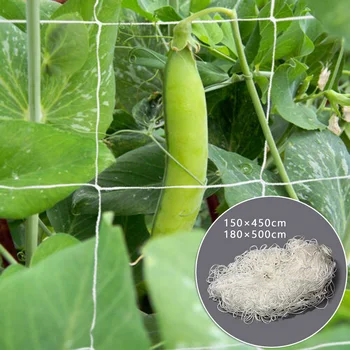 

Polyester Plant Climbing Net Garden Trellis Netting Support Plants Grow Vegetable Fruit Plant Climbing Nets