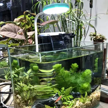 

360 Degree Mini LED Light Aquarium Fish Tank for Water Plant Grow USB Charge