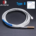 Type B