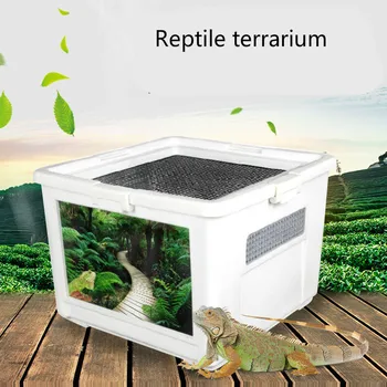 

Breathable Grid Plastic Transparent Reptiles Living Box Reptile Terrarium Ideal Habitat for Scorpion Spider Ants Chameleon