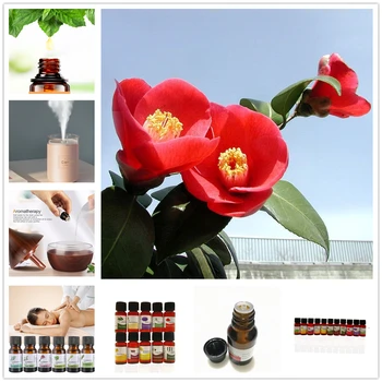 

Slimming Losing Weight Essential Oils Thin Leg Waist Fat Burning Pure Natural Wintersweet Weight Loss Beauty Body Slimming Oil