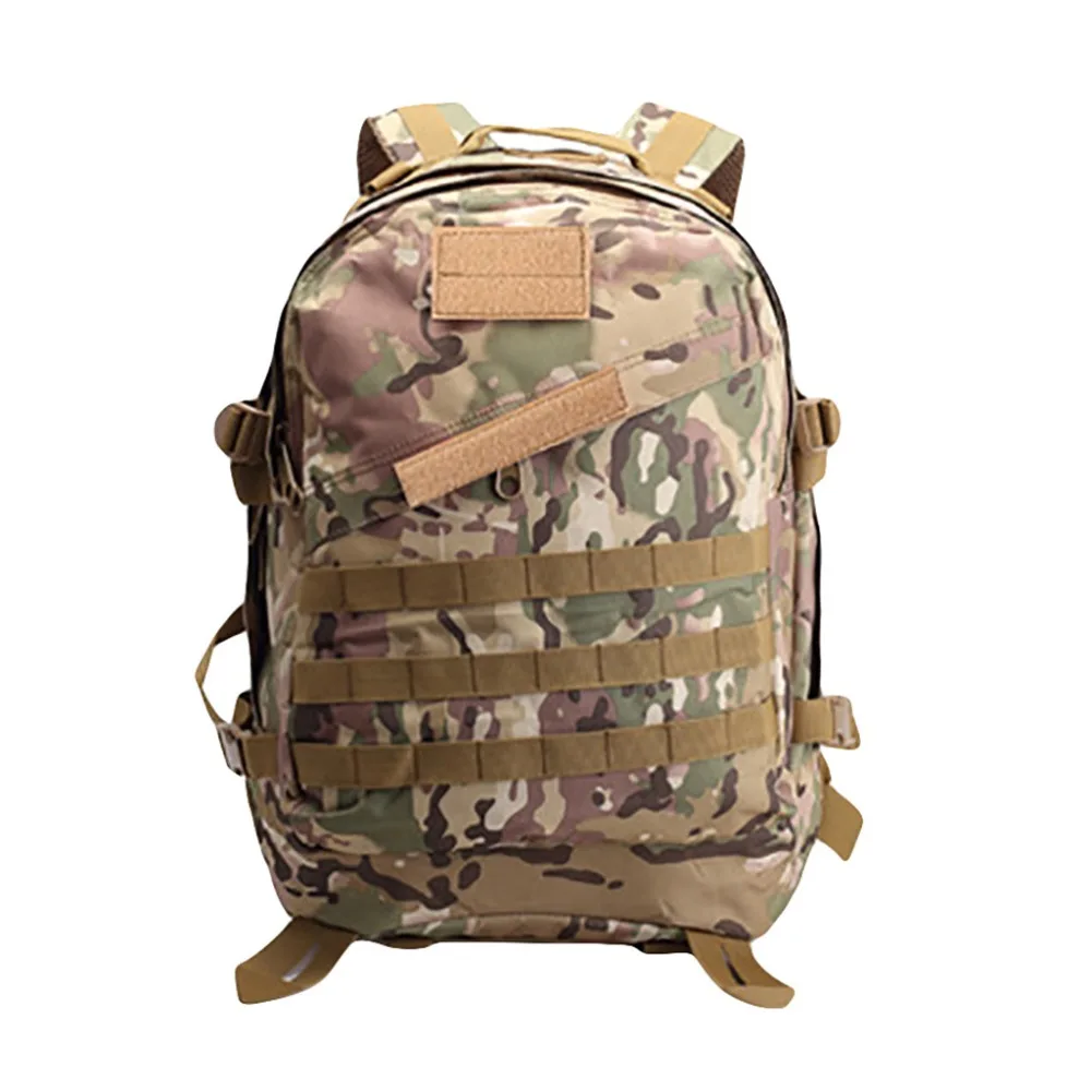 BRF90606007_0413509743225356275