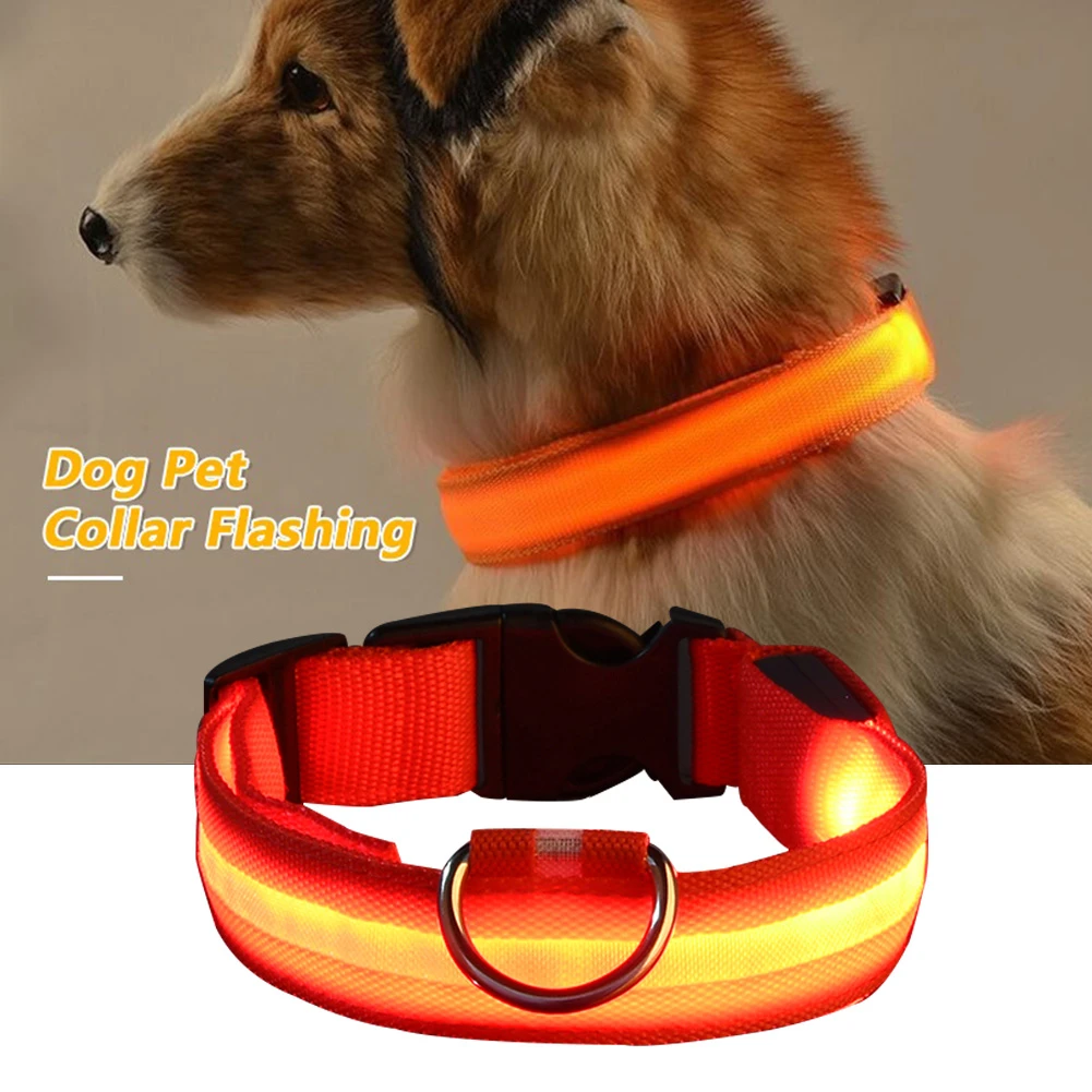 perro gato luminoso LED Golden Retriever de peluche Collar de perro de seguridad noche Anti perdido brillo arnés correa de mascotas accesorios|Collares| - AliExpress