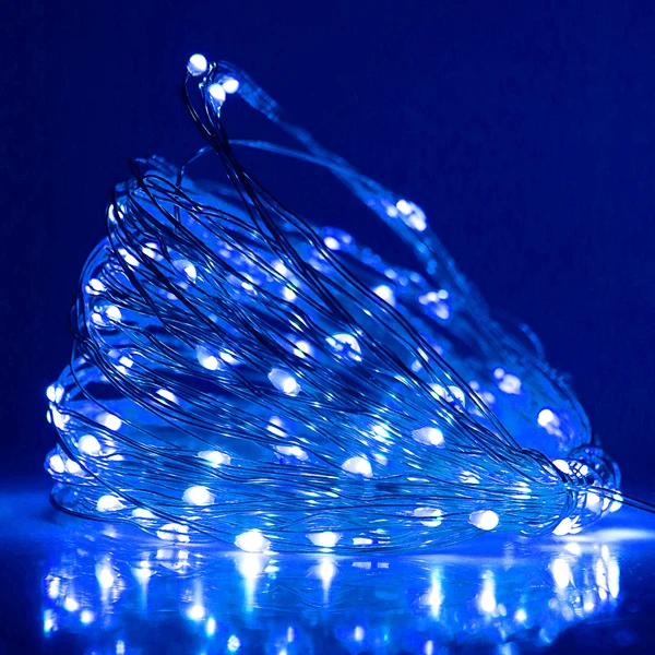 thumbnail image 1 of 12V LED String Light with Remote Dimmer 10m 20m 30m 300 LED Fairy Lights Warm White RGB US EU UK AU Kit Christmas Wedding Decor, 1 of 5