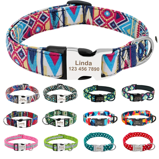 Personalized Dog Collar with Nylon 1