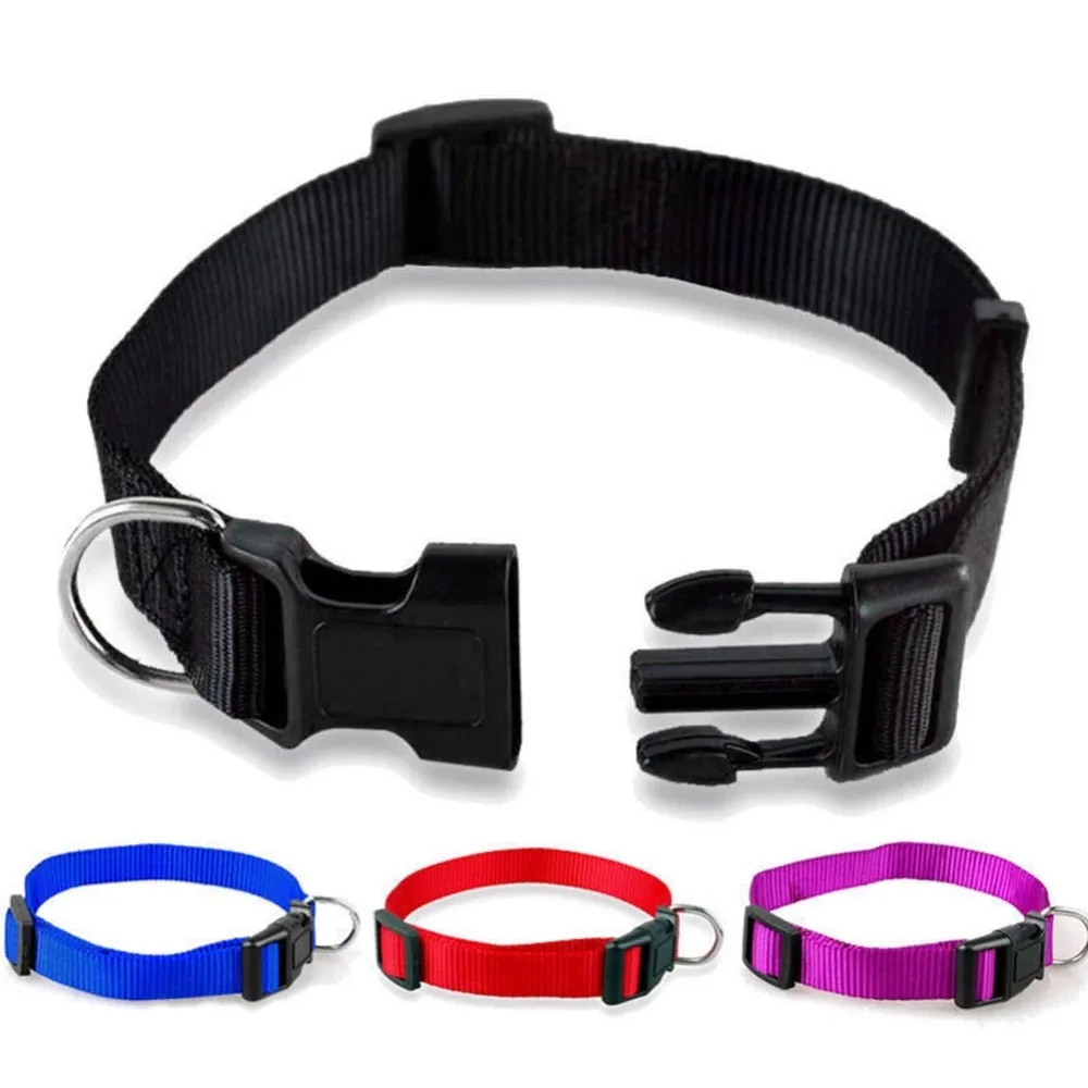 Collar de nailon para perro, pinza resistente, hebilla, ajustable, para perros pequeños, medianos y grandes, rojo, negro, azul, Morado, Gato