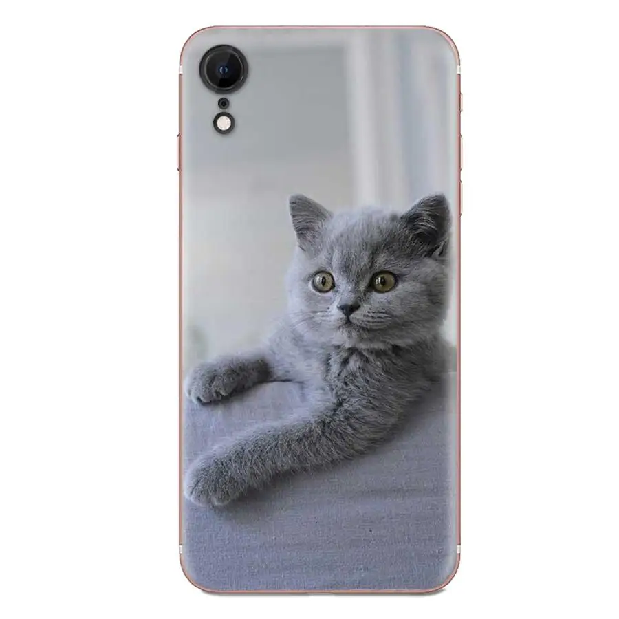 Британский короткошерстный чехол из ТПУ для huawei Honor mate Nova Note 20 20s 30 5 5I 5T 7C 8A 8X9X10 Pro Lite Play - Цвет: as picture