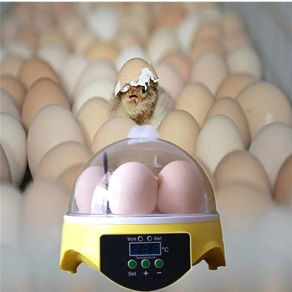 Egg Incubator Digital 7 Eggs Hatch Pet Supplies Poultry Hatcher Bird Temperature Control Automatic Goose Clear Duck Mini