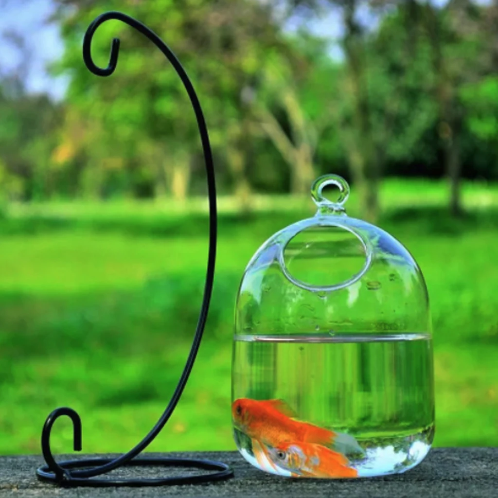 Creative Clear15cm Height Hanging Glass Aquarium Fish Bowl Fish Tank Flower Plant Vase With 23cm Height 1 Creative Clear15cm Height Hanging Glass Aquarium Fish Bowl Fish Tank Flower Plant Vase With 23cm Height 2