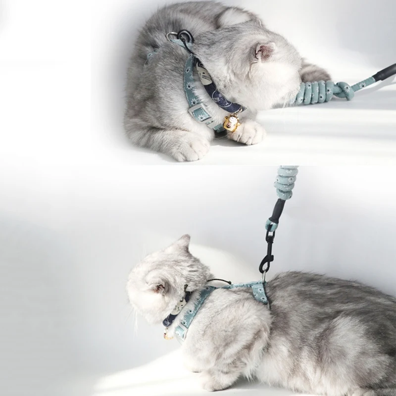 Popular aesthetic printing cute adjustable cat collar dog with soft vest