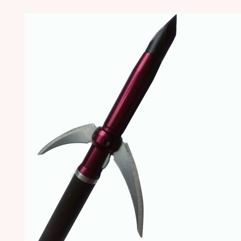 2540939426_1148519445 副本