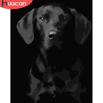 

HUACAN Paint By Number Dog Drawing On Canvas HandPainted Art Gift DIY Pictures Painting By Number Animal Kits Home Decoration