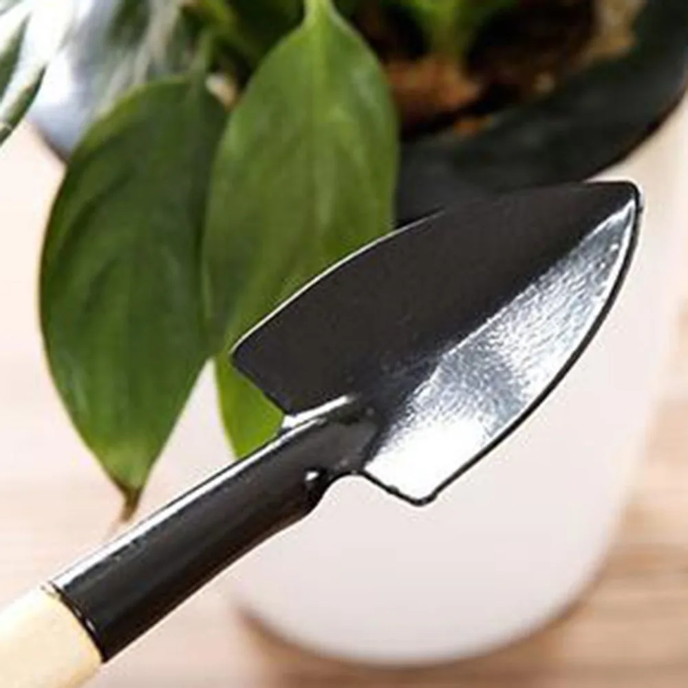 YY11293500-C-20190634-1