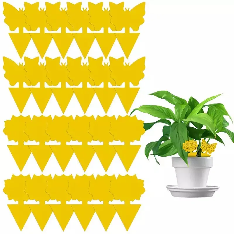 12pc fuerte amarillo trampas pegajosas fruta mosca insectos pegajoso tablero interior/uso al aire libre de los insectos voladores de doble cara de Catcher
