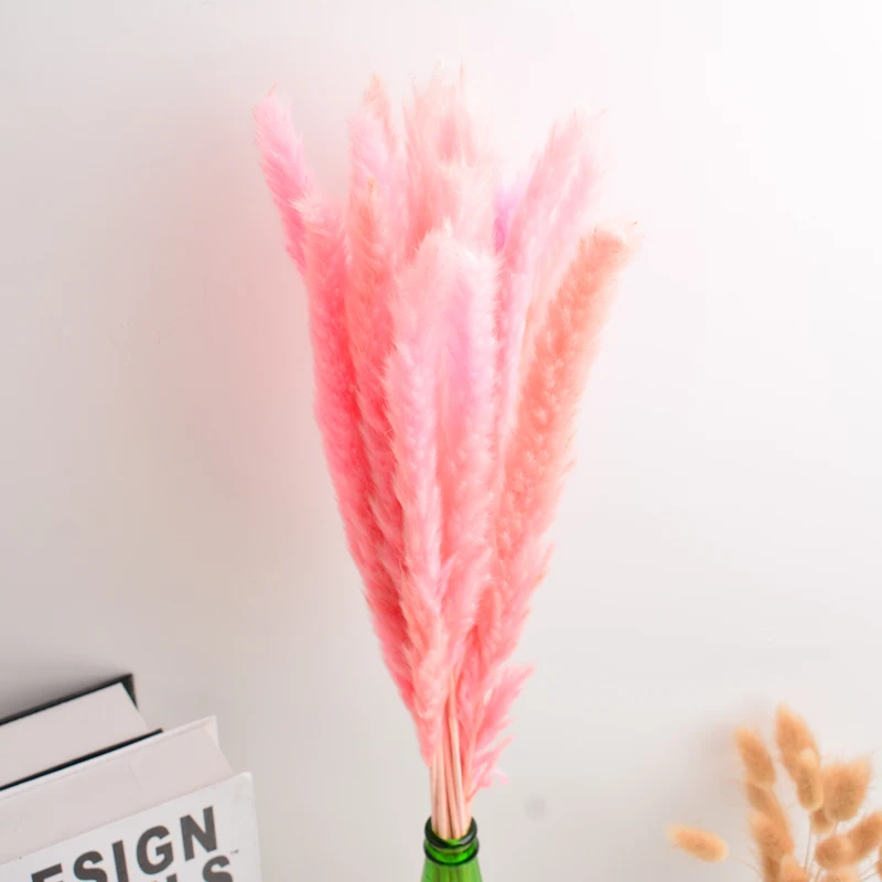 15 шт. белые/розовые художественные сушеные пампасы трава натуральный сушеный
