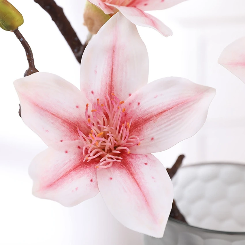 11912838644_1538239467