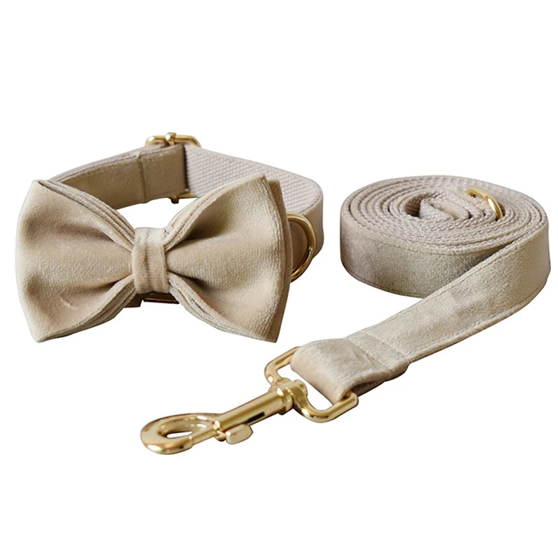 

Ошейник и поводок для маленьких, средних и больших собак