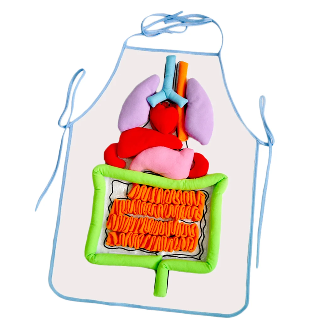 Kids Educational Body Apron Toy Children  Human Organs Awareness Toys Transparent Apron Science Learning Toys 