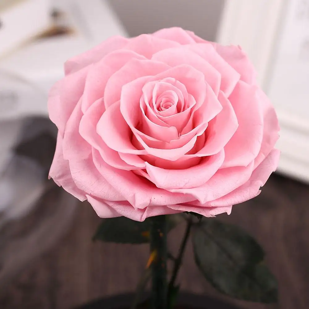 Новая красивая Роза 23 см большой цветок искусство на День святого Валентина День рождения свадебный подарок домашний декоративный вечный цветок розы