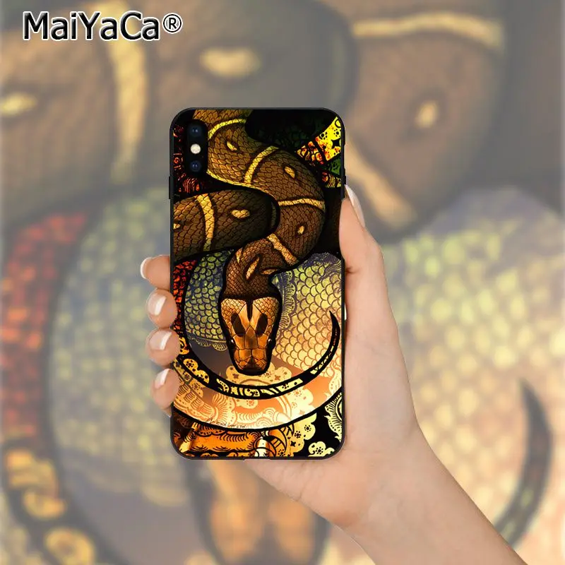 Coral snake animal