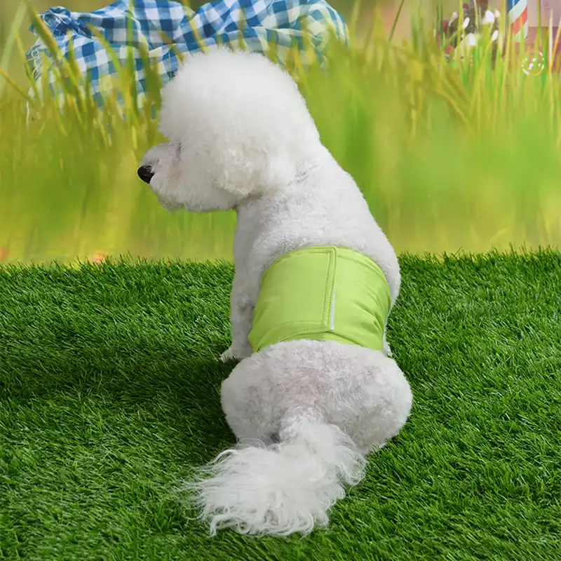 waterproof dog nappies