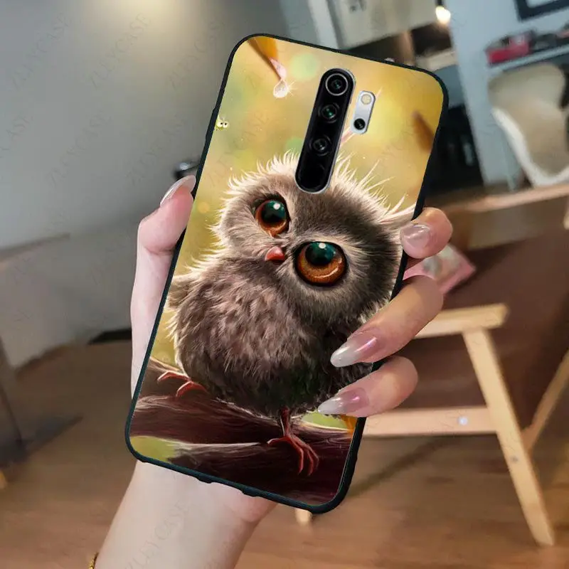 Animal Owl bird