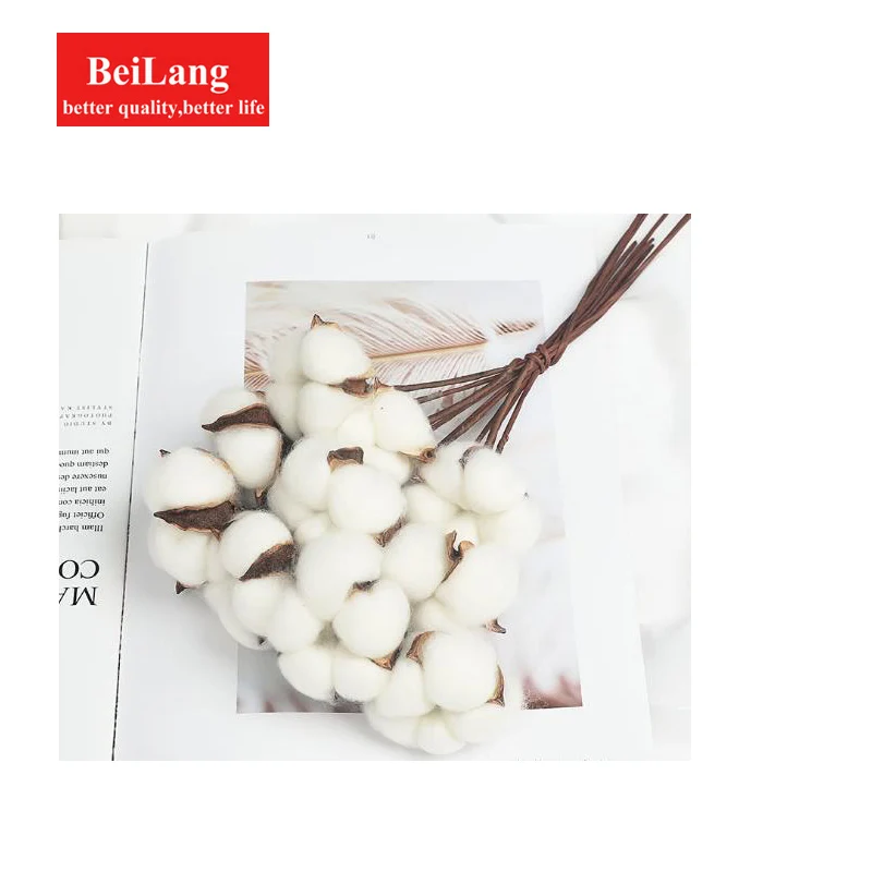 BeiLang натуральный вечный хлопок сушеные цветы для домашнего декора фото реквизит Атмосфера декоративные цветочные композиции - Цвет: Бежевый
