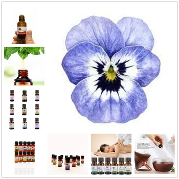

10ml Essential Oils for Aromatherapy Diffusers Saffron Essential Oils Relieve Stress for Body Muscle Relax Skin Care TSLM2