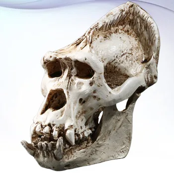 

1Pc Fashion Skull Head Decoration Scary Resin Sculpture Decor Resin Desktop Ornament for Home Office(Ivory)