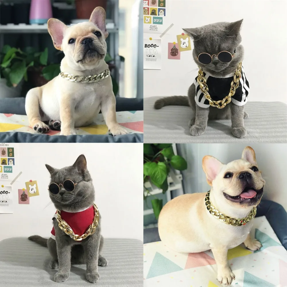 307643_no-logo_307643-1-05-g