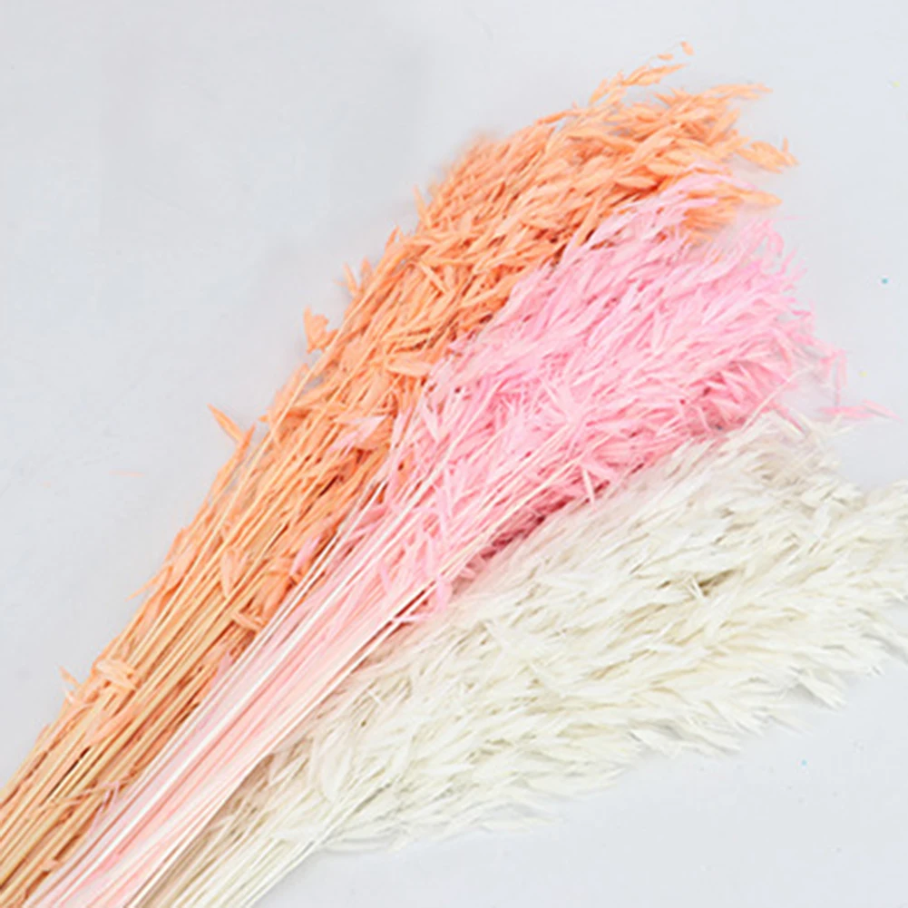 Natural Dried Fresh Flower Bundle Preserved Flower DIY Flower Wedding Background Wall Wheat Flower Photo Photography props