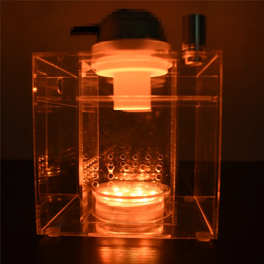 DSC_0911_副本_副本