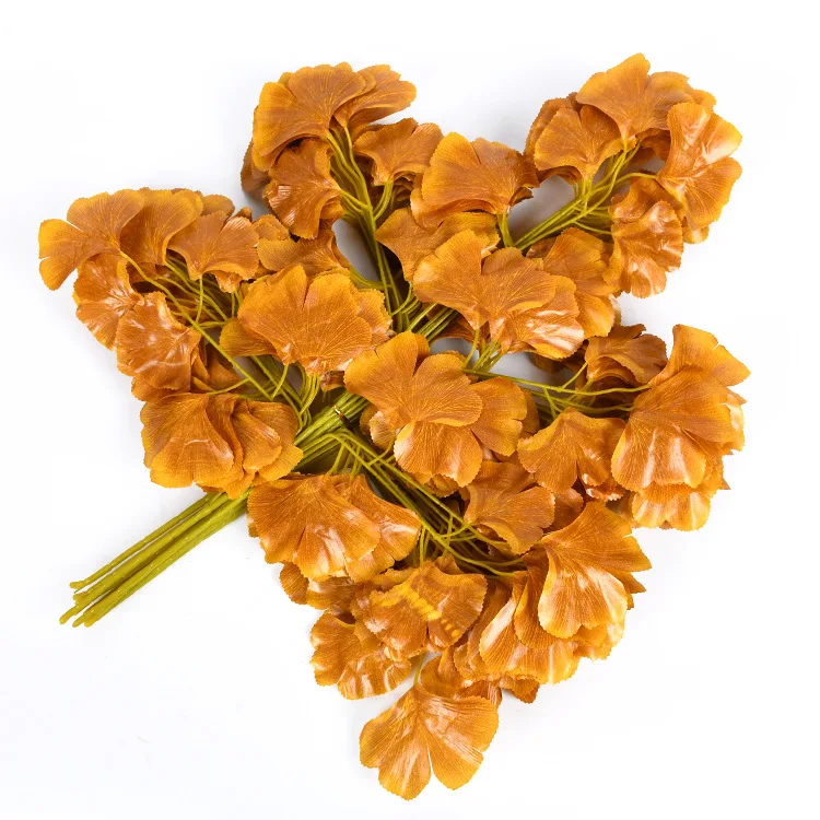 10732774858_237492366