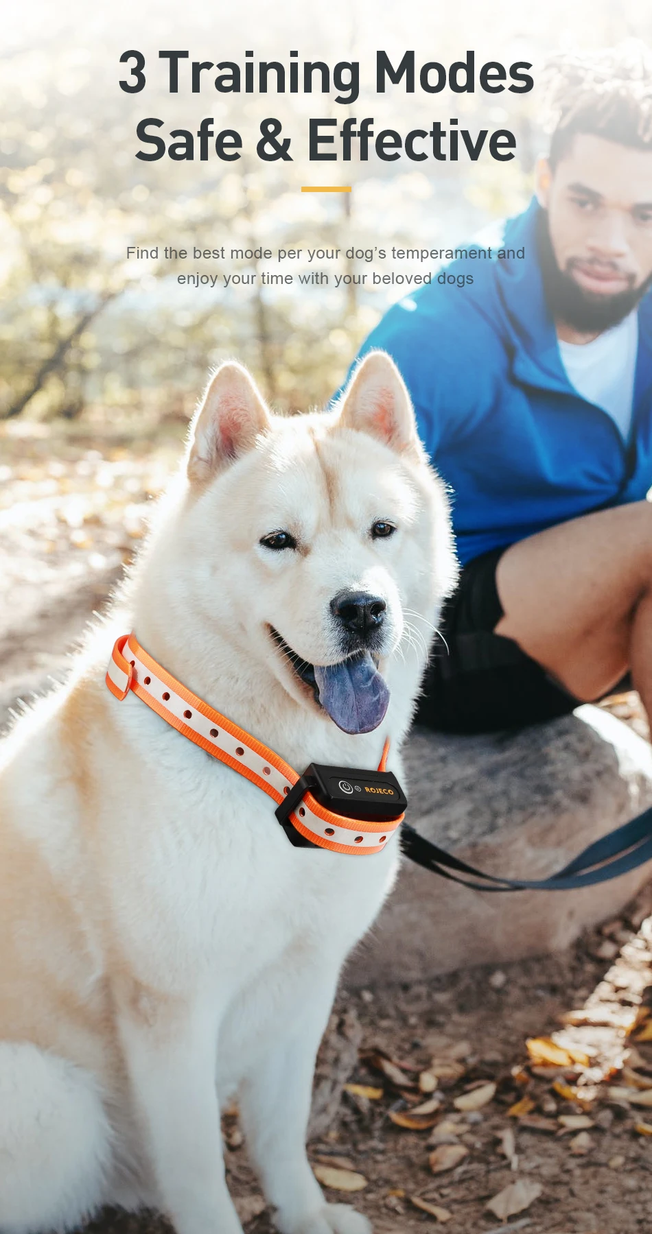 Train Your Dog Effectively with our Dog Training Collar With Bark Control