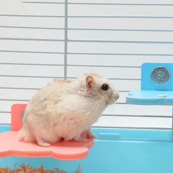 

1 Hamster Platform Perch Pet Parrot Rack Toy Small Animal Squirrel Springboard Cage Accessories Double Screw Springboard