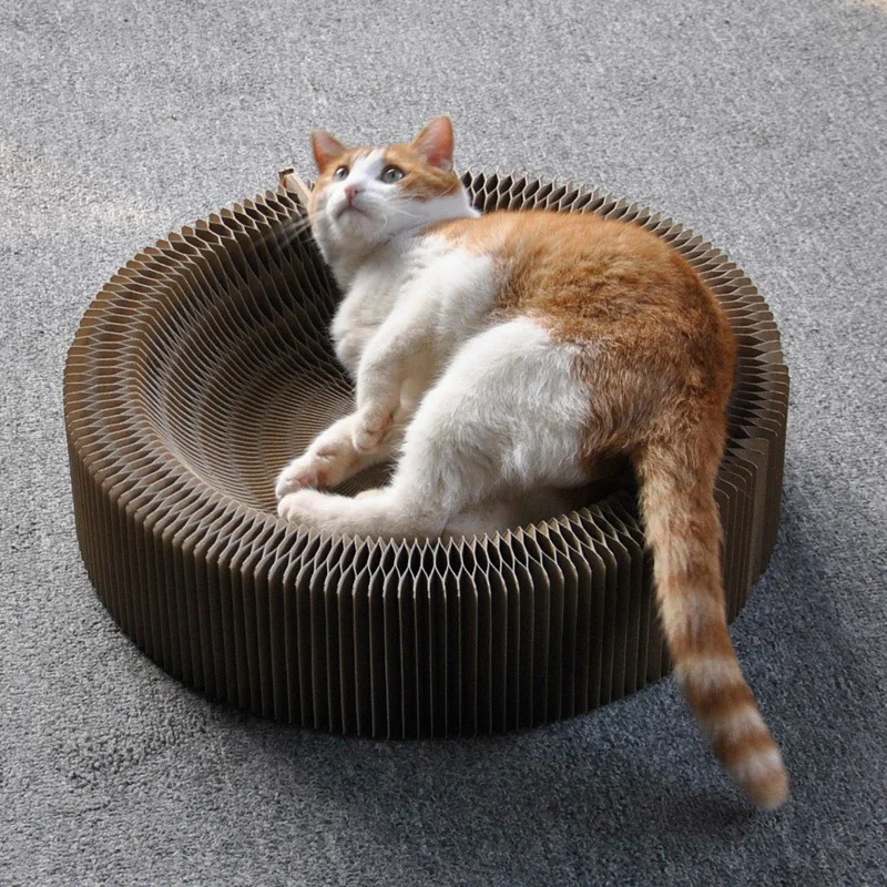 Многофункциональная Когтеточка для кошек, складная круглая Когтеточка с шариком, лучшее место для кошек для отдыха и игр