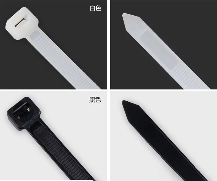 12026494287_467783724