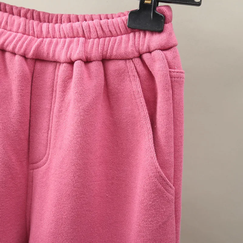 Бархатные утепленные прямые штаны-шаровары для женщин; Pantalon Femme; брюки с эластичной резинкой на талии; сезон осень-зима; повседневные спортивные брюки для женщин; C6033