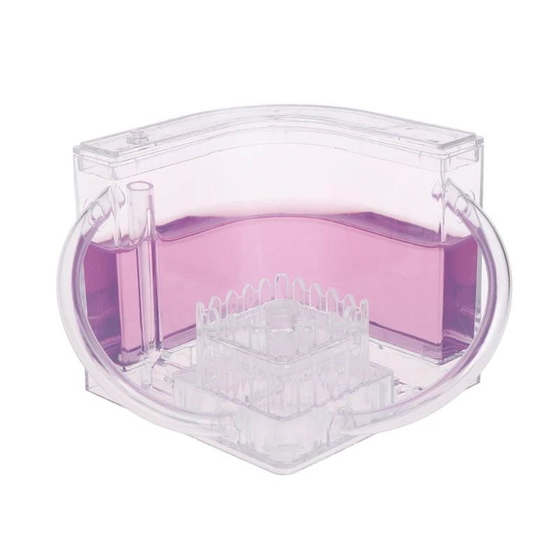 Purple 3D муравьиная ферма образовательный лабиринт система живого кормления муравьев среда обитания мир домашних животных вилла - Цвет: Purple